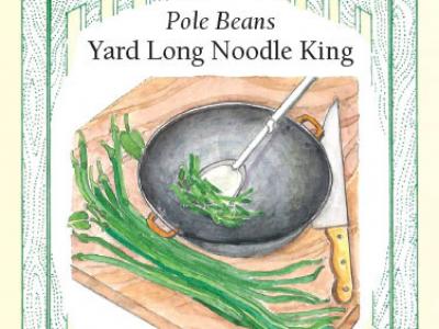 Bean Pole Yard Long Noodle King