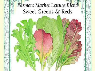 Lettuce Farmer's Market Blend
