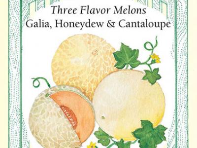 Melon Three Flavor Mix Vegetable Seed