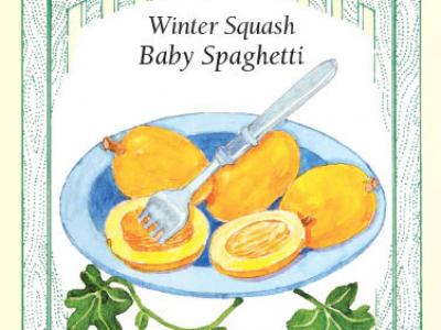 Squash Winter Baby Spaghetti