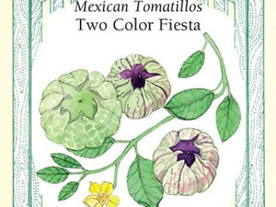 Tomatillo Fiesta Duo
