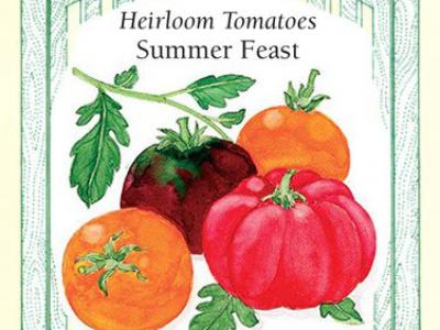 Tomato Summer Feast Trio